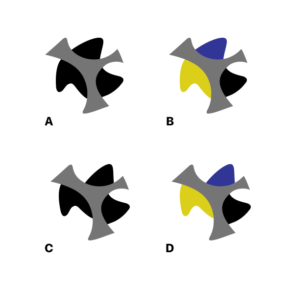 Contour and Surface Interpolation