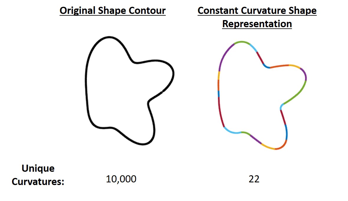 Visual Perception of Contours